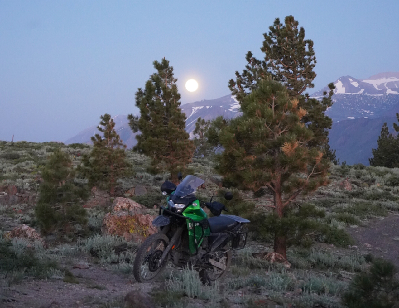kawasaki klr650 mountain top pine trees sunrise
