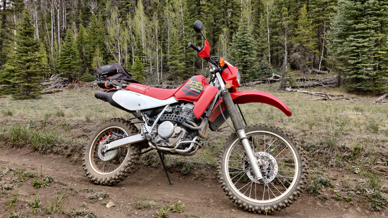 Honda XR650L dirt road in the woods