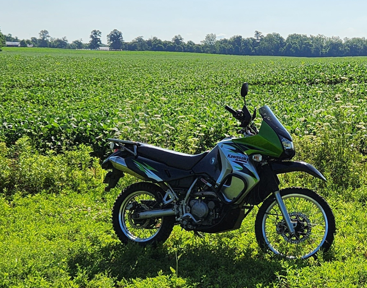 kawasaki klr650 corn field farm crops