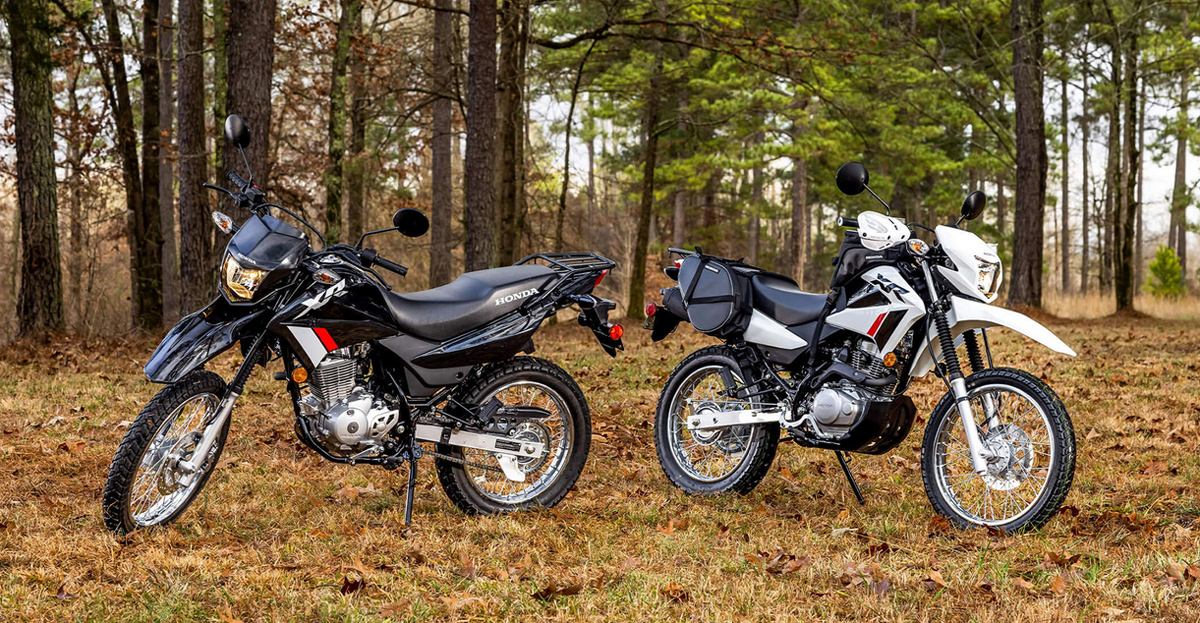 honda xr150l wilderness fall leaves woods
