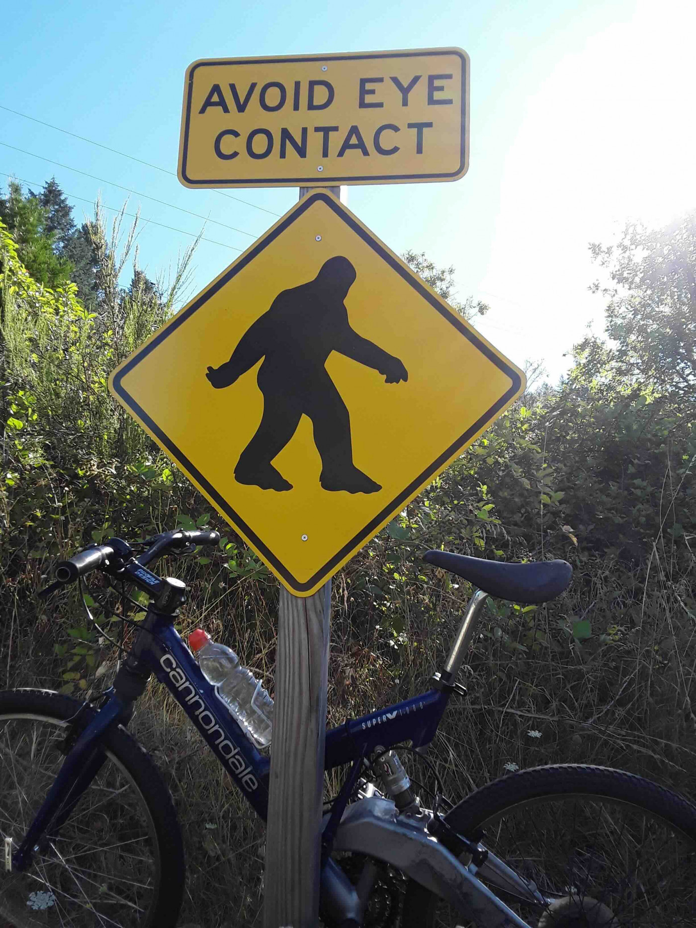 Bill Quaccia Sasquatch Road Sign